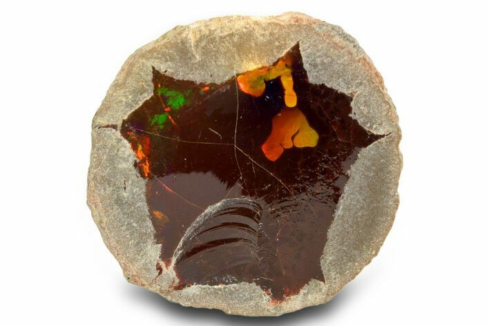 Ethiopian Chocolate Opal Nodule - Yita Ridge #367226